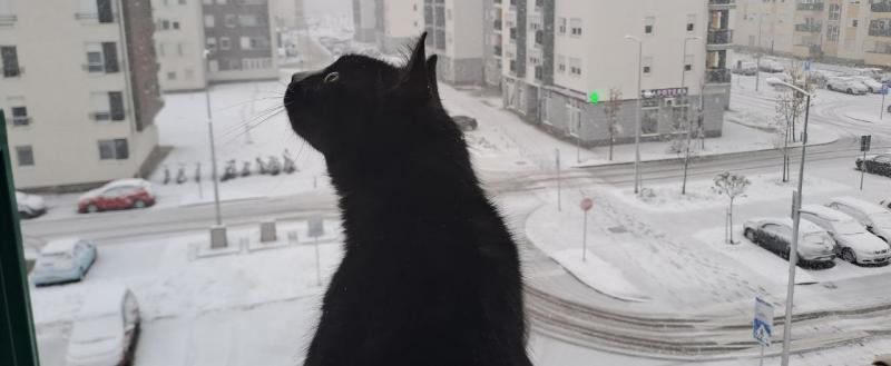 Фото: Kaluga-poisk.ru