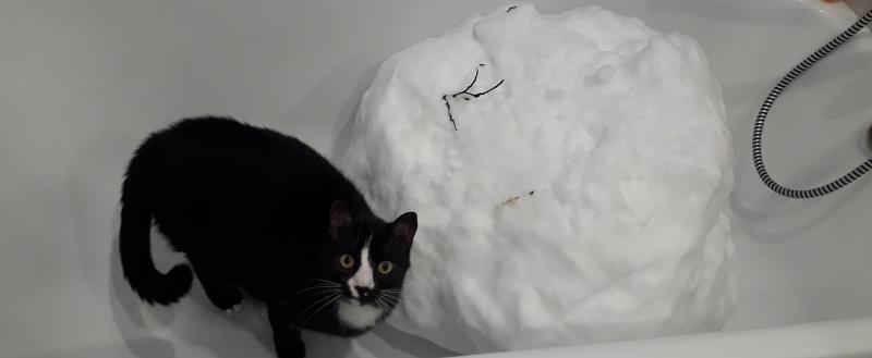 Фото: Kaluga-poisk.ru