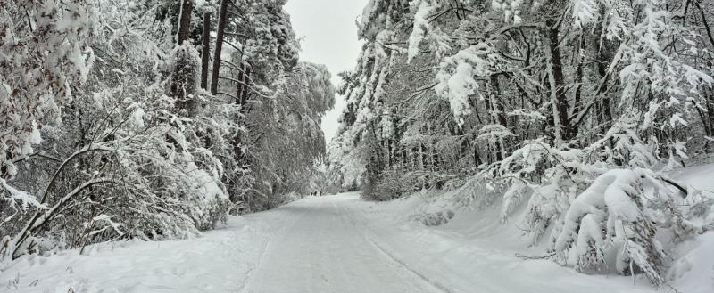 Калуга-поиск
