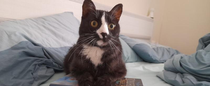 Калуга-поиск