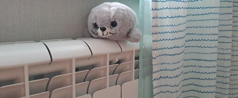 Калуга-поиск