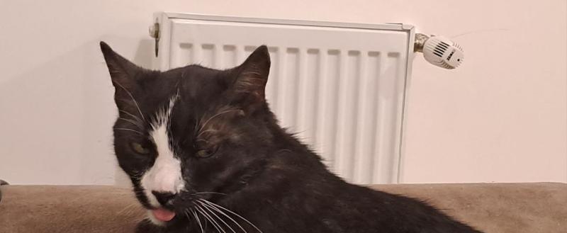 Калуга-поиск