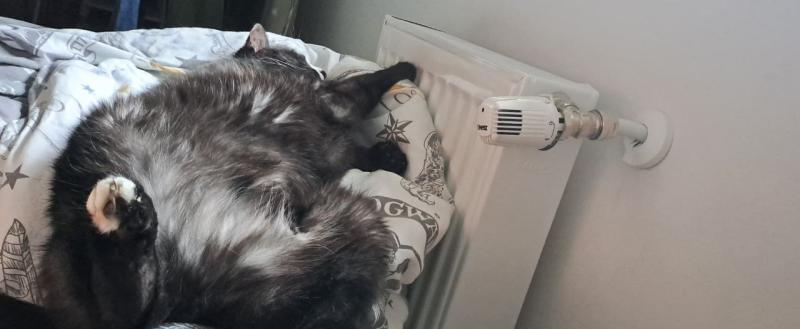 Калуга-поиск