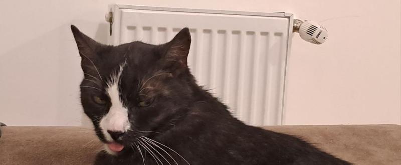 Калуга-поиск