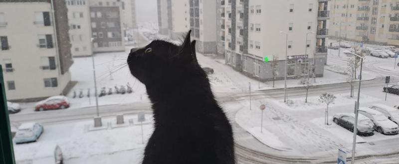 Фото: Kaluga-poisk.ru