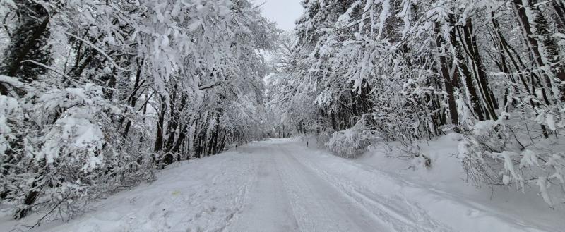 Фото: Kaluga-poisk.ru