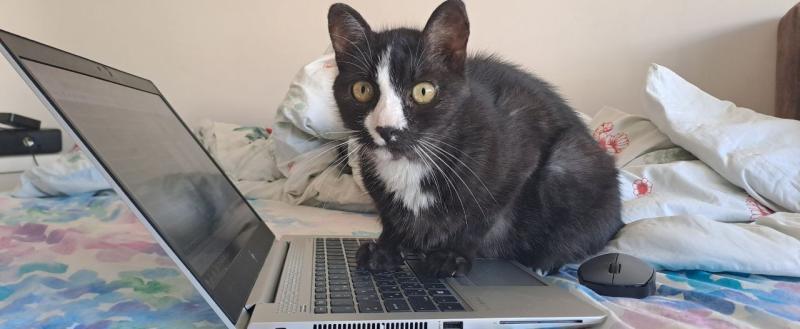 Калуга-поиск