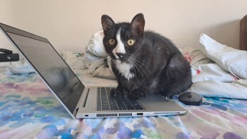 График отключения электричества в Калуге на 3 февраля 