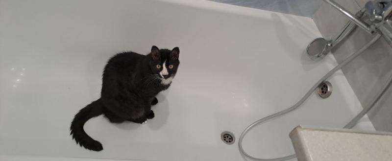 Фото: Kaluga-poisk.ru