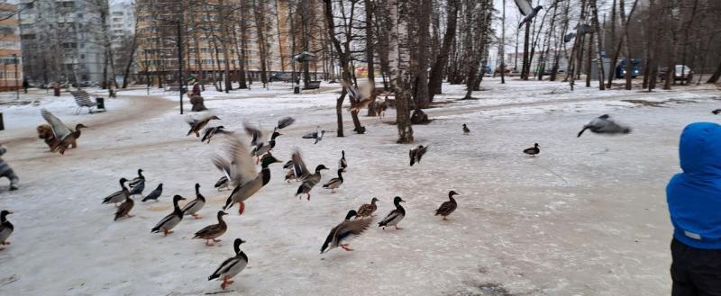 Калуга-поиск