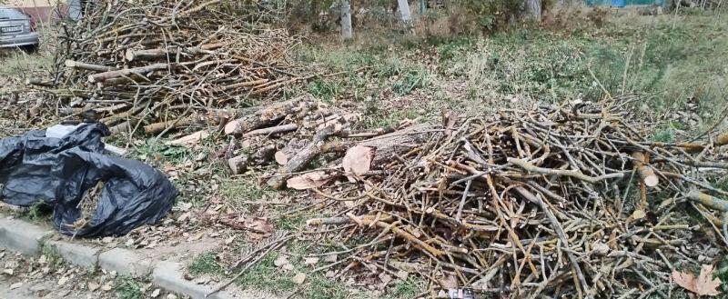 Фото: Kaluga-poisk.ru