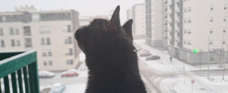 Фото: Kaluga-poisk.ru