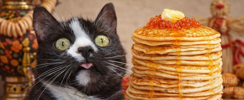 Калуга-поиск