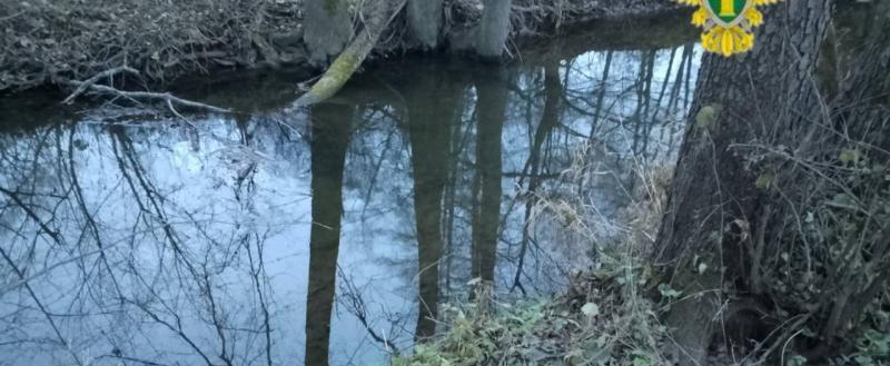 прокуратуры Калужской области 