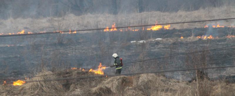 Калуга-поиск