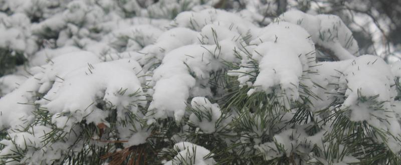 Калуга-поиск