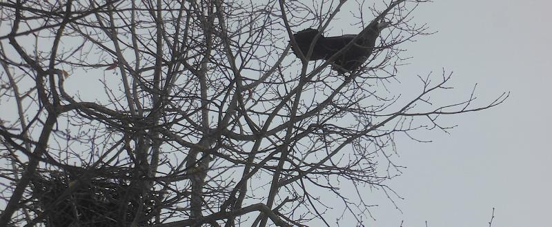 Юрия Галченкова