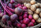 Жена хотела отомстить мне за погубленные кусты, но случайно обеспечила феноменальный урожай свеклы и картошки
