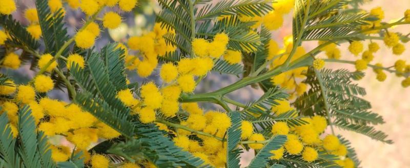 Калуга-поиск