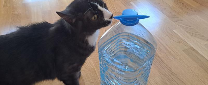 Калуга-поиск