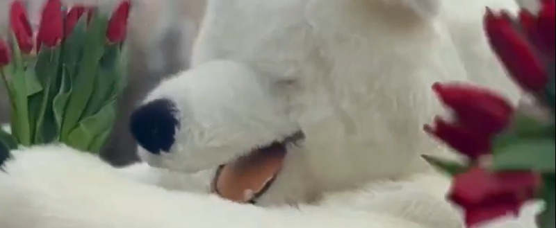 Дмитрия Денисова 