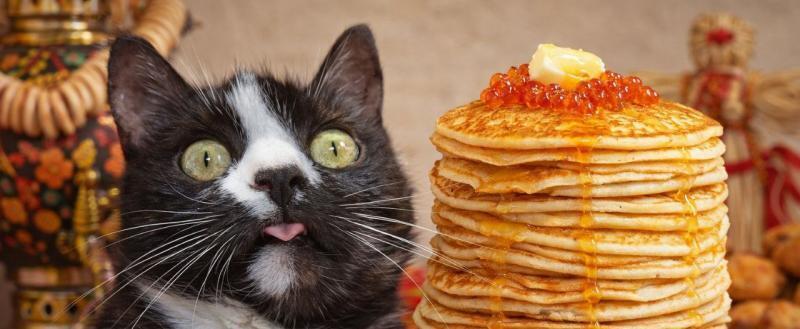 Фото: Kaluga-poisk.ru