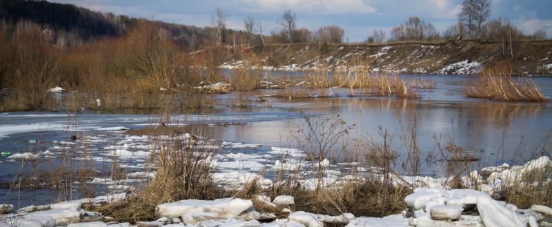 Калуга-поиск