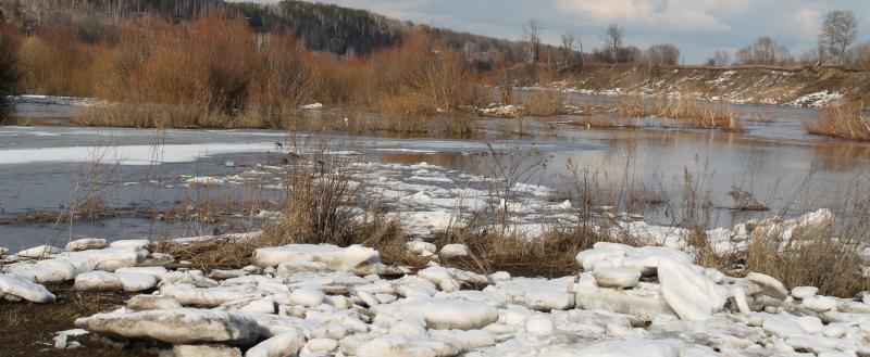 Калуга-поиск