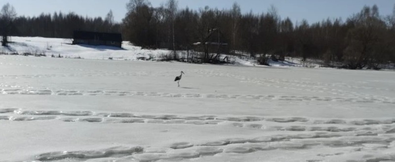 В.Г. Бабаляна, со страницы Юрия Галчёнкова