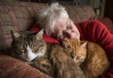 Родители в 60 лет ведут себя как дети: таскают домой животных и обижаются, что я против