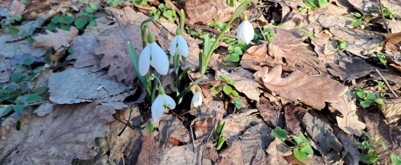 Калуга-поиск