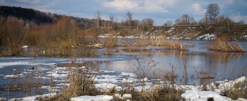 Калуга-поиск