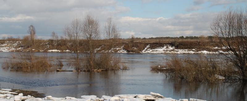 Калуга-поиск