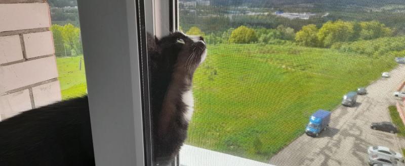 Калуга-поиск