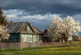  Мой муж приезжает на дачу отдохнуть, но почему-то никогда не отдыхает