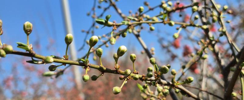 Калуга-поиск