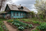 &ndash; Никогда они у тебя не заплодоносят! Ты все делаешь неправильно! &ndash; маму на дачу больше не пускаю