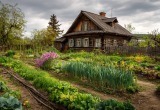 Отец сам попросил привести дядькину дачу в порядок, но кроме критики ничего от него не услышал