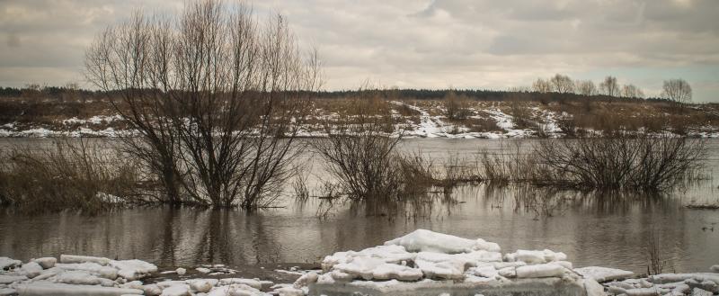 Калуга-поиск