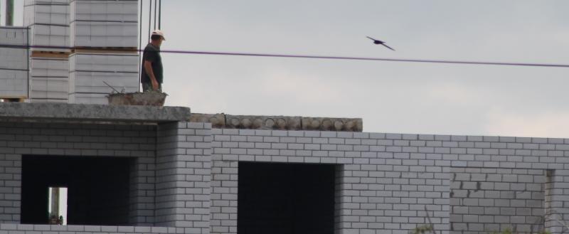 Калуга-поиск