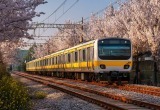 Жена принципиально не покупает билеты на поезд онлайн. Из-за неё отпуск срывается, билетов на юг уже нет