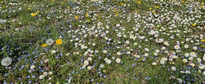 Фото: Kaluga-poisk.ru