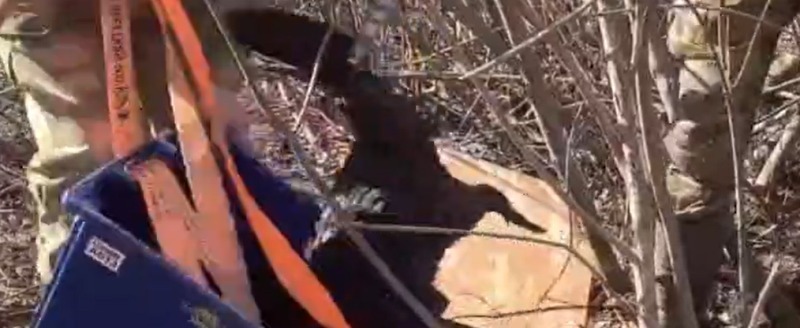 Вячеслава Парфенова