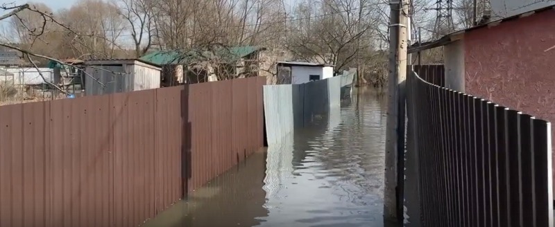 Стефана Перевалова