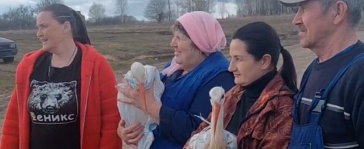 центр реабилитации диких животных 