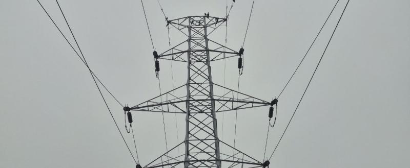 Калуга-поиск