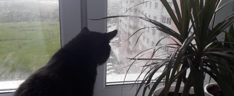 Калуга-поиск