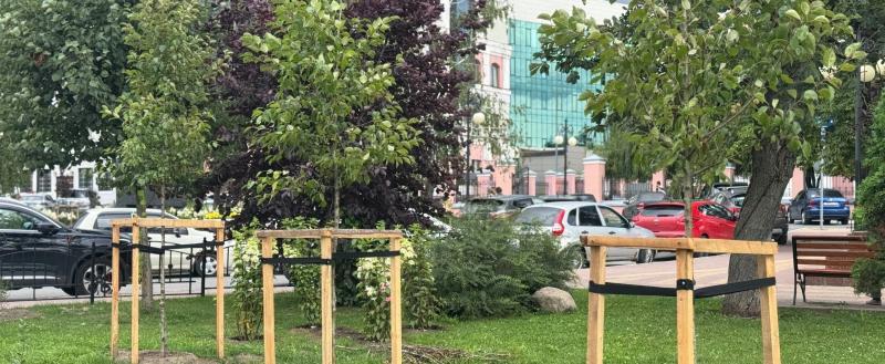 Дмитрия Денисова