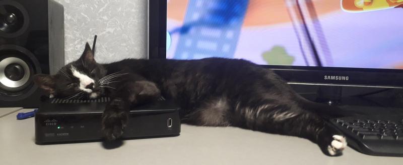 Калуга-поиск