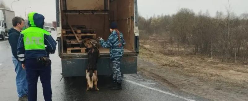 Госавтоинспекция Калужской области